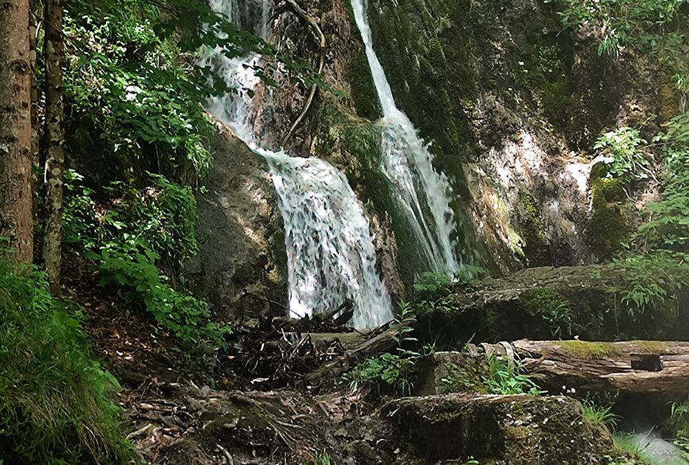 Stručni izlet